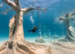  Tourist Info World Ayia Napa Under Water Museum