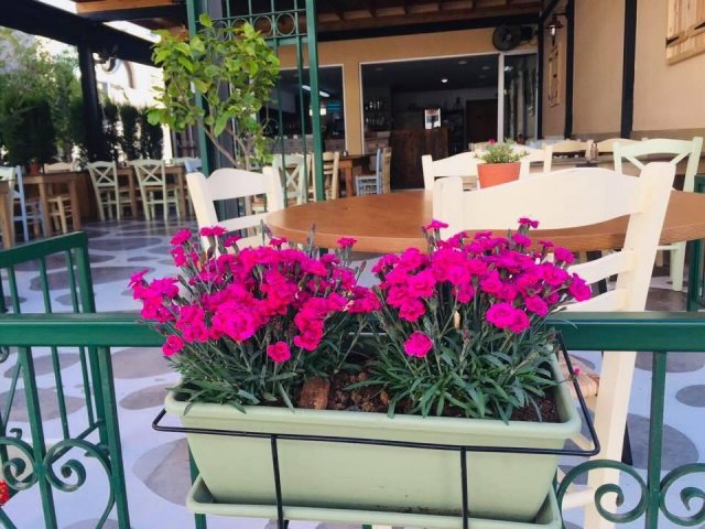 Yiasemi Meze And Grill Protaras