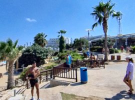 Fig Tree Bay Antonis Zefkas Restaurant Protaras