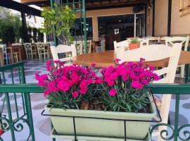 Yiasemi Meze And Grill Protaras