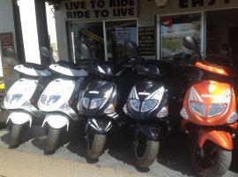 Trex 80cc